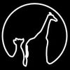Outline of a fox and a giraffe on a black background